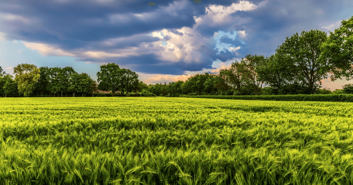 Featured Image for Whitetail Properties Join Forces With Realtors Land Institute (RLI)